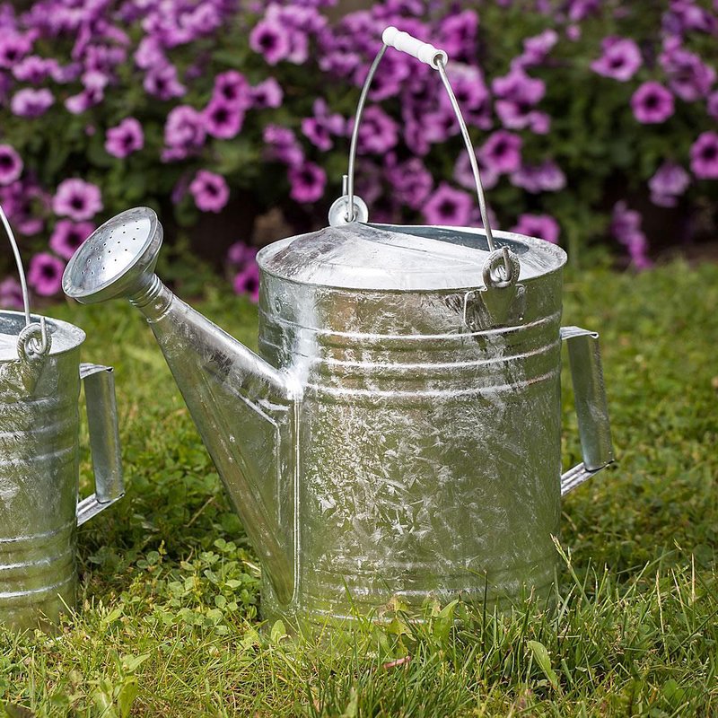 Large galvanized steel watering can with a seamless rust-resistant finish and sturdy handle, placed on green grass with purple flowers in the background, ideal for farm and garden use.