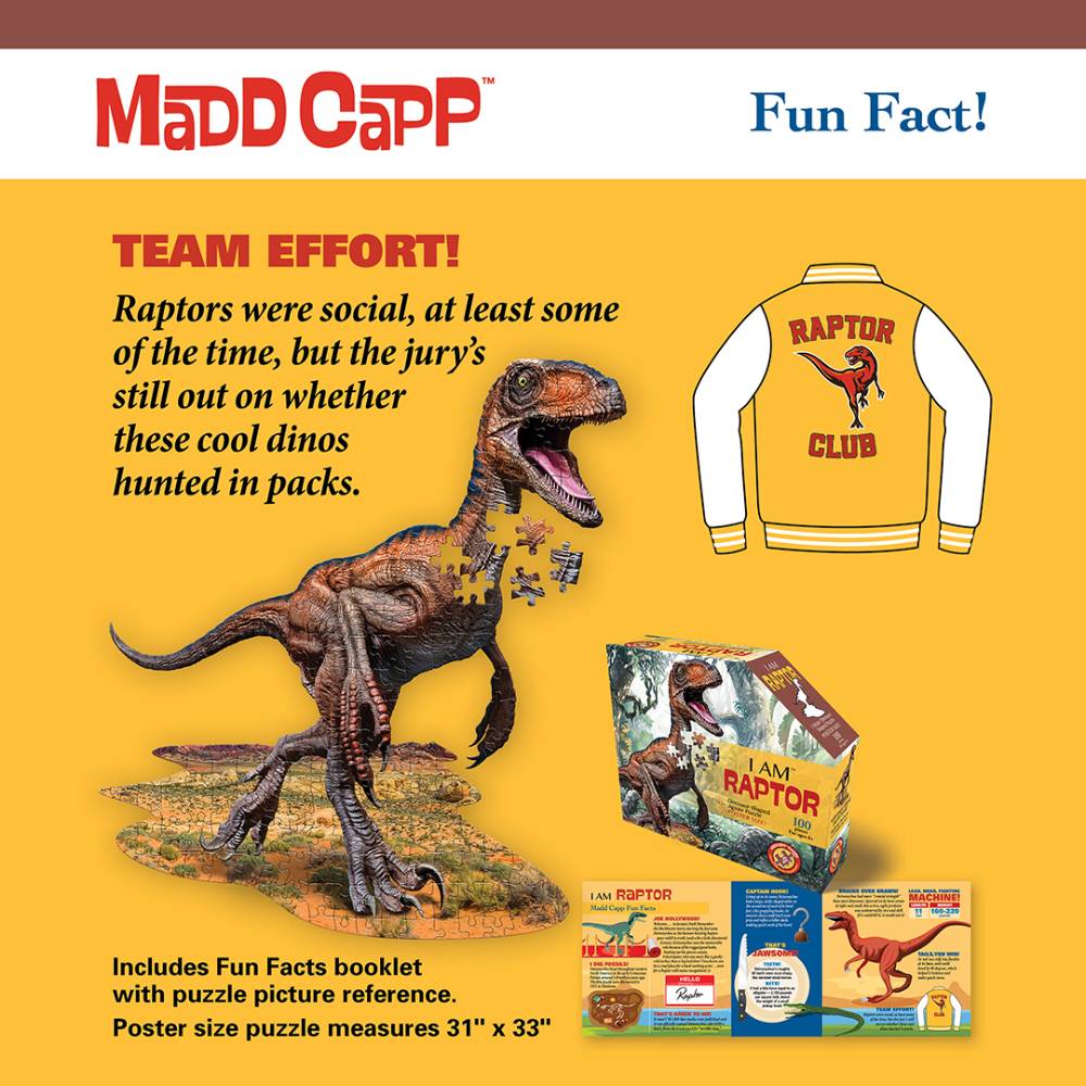 Fun fact card for a shaped raptor puzzle featuring a detailed raptor illustration with puzzle pieces, a "Raptor Club" jacket image, and a booklet with fun facts and a full puzzle picture reference, part of Toys, Books & Games and Children’s Toys collections.