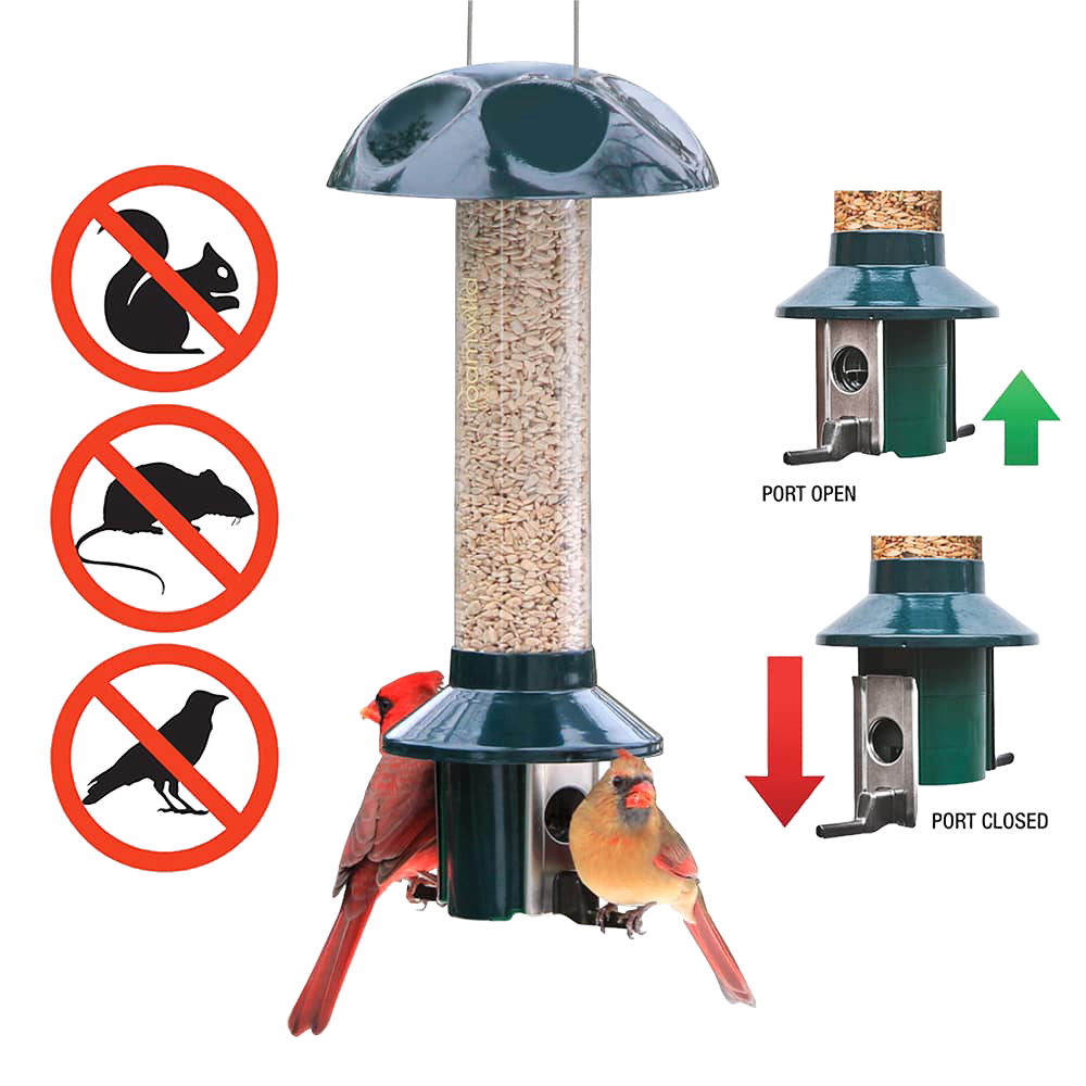 Metal bird feeder with a green top and base, filled with mixed seeds and sunflower, designed to keep out squirrels, chipmunks, and large birds, shown with birds feeding, featured in Farm, Garden & Tool and Animal Care collections.