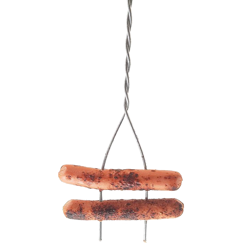 Two grilled hot dogs held by a heavy-duty, two-pronged galvanized steel roasting stick with an extra-long wooden handle, designed for camping and outdoor use.