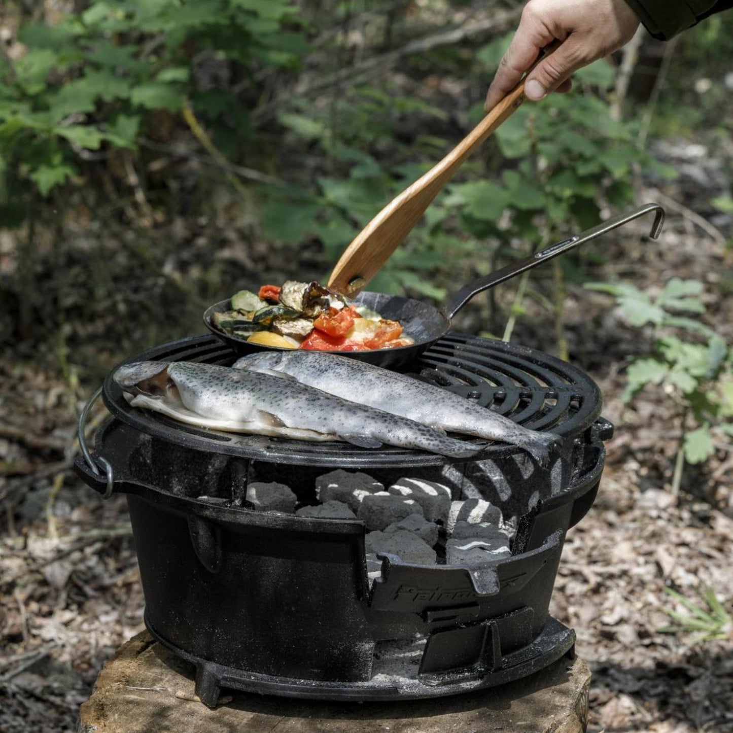 Petromax cast iron fire grill with adjustable grate cooking whole fish and sautéed vegetables on a portable charcoal stove in a forest setting, ideal for Farm, Garden & Tool, Stoves, Camping, and Grilling collections.