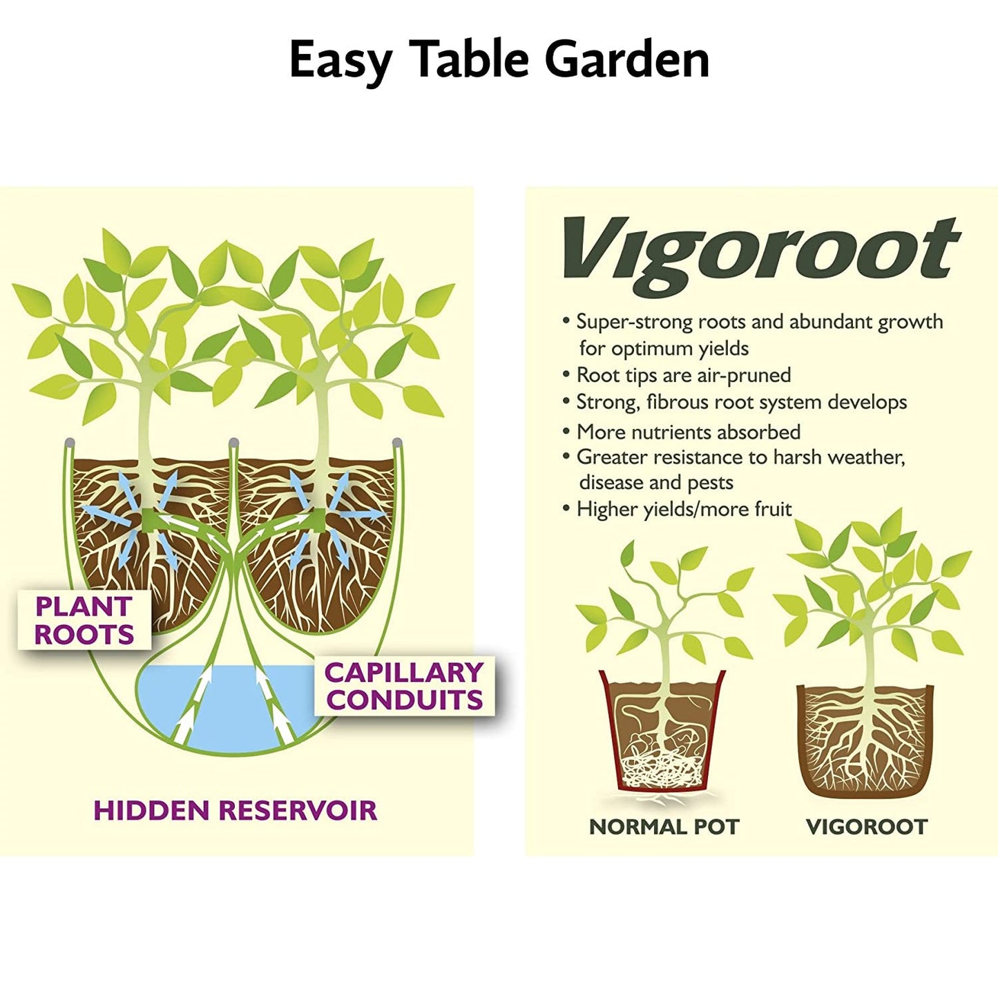 Illustration showing plant roots growing into a hidden water reservoir via capillary conduits for self-watering, compared with stronger root growth in Vigoroot container versus a normal pot, featured in Farm, Garden & Tool and Garden Accessories collections.