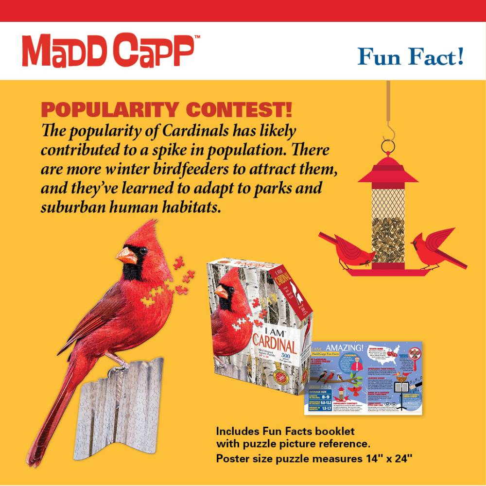 Illustration of a bright red cardinal with a wooden fence background next to a birdseed feeder, alongside a shaped cardinal puzzle box and an informational factsheet, placed on a yellow background, promoting a 300-piece puzzle in Toys, Books & Games and Puzzles collections.