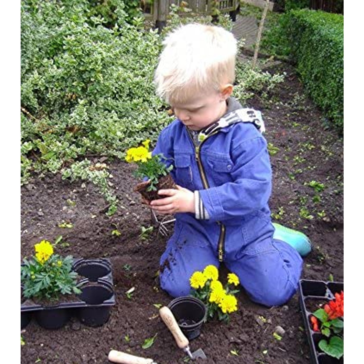 Young child kneeling in garden soil, carefully planting yellow marigold flowers using small gardening tools, highlighting a tool designed for small hands in Farm, Garden & Tool and Digging and Cultivating collections.