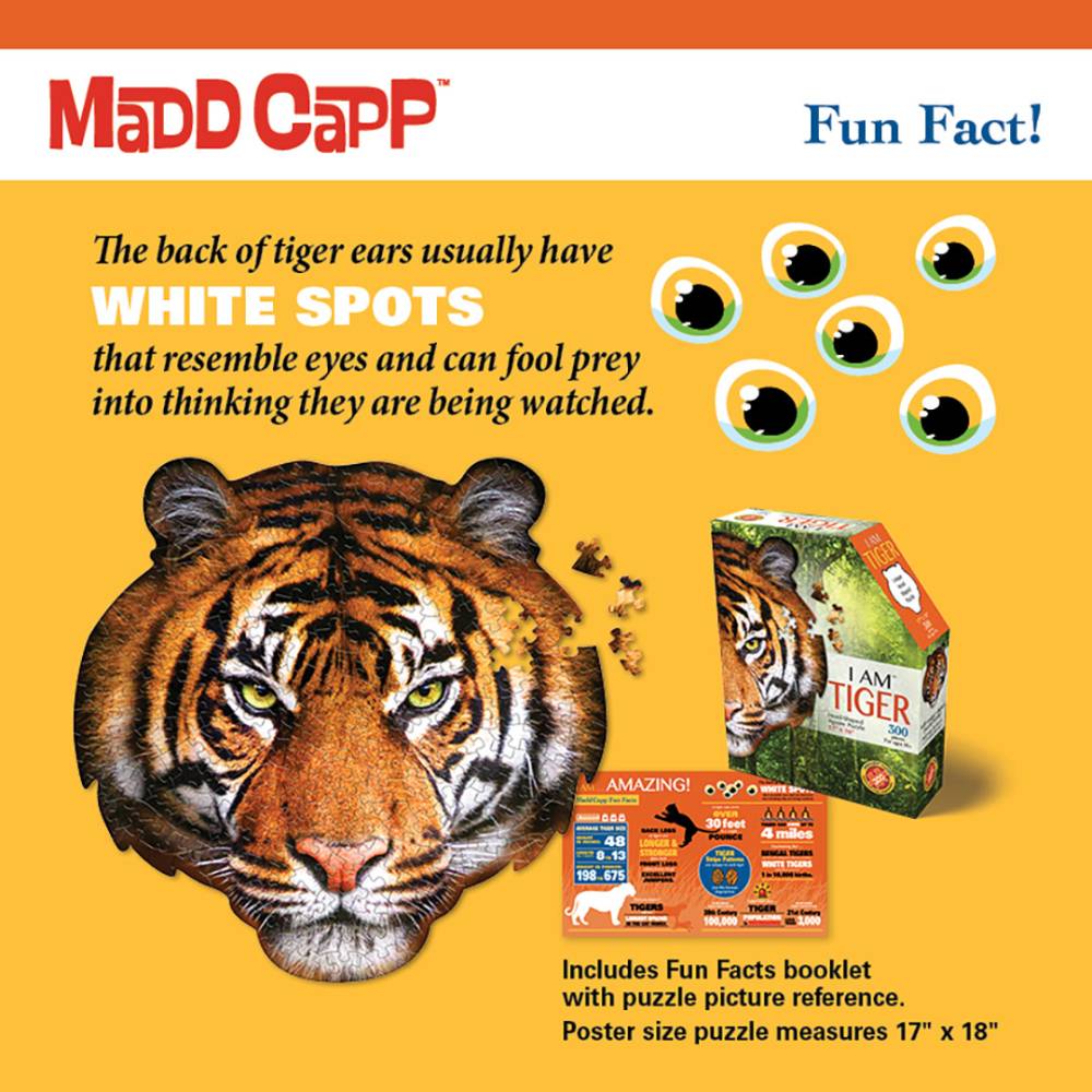 Bright educational poster for a 300-piece tiger head puzzle with fun facts about white spots on tiger ears, including a reference image and booklet, ideal for children's games and puzzles collections.
