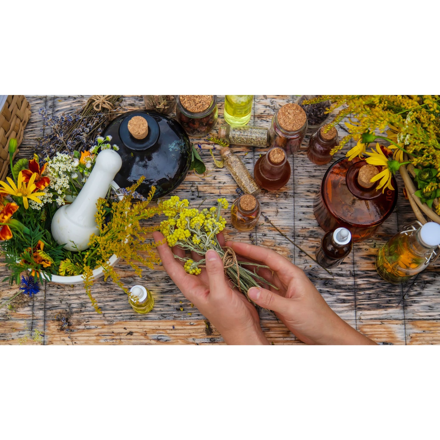 Hands arranging fresh yellow herbs on rustic wooden table surrounded by glass bottles, mortar and pestle, and colorful wildflowers in natural wellness and health book setting
