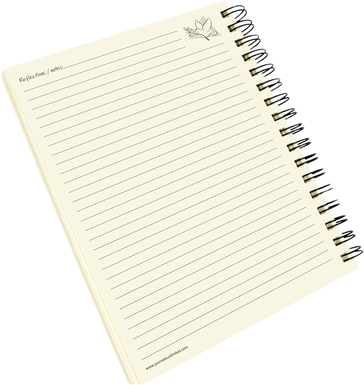 Gratitude Journal - Write it Down! Guided Journal