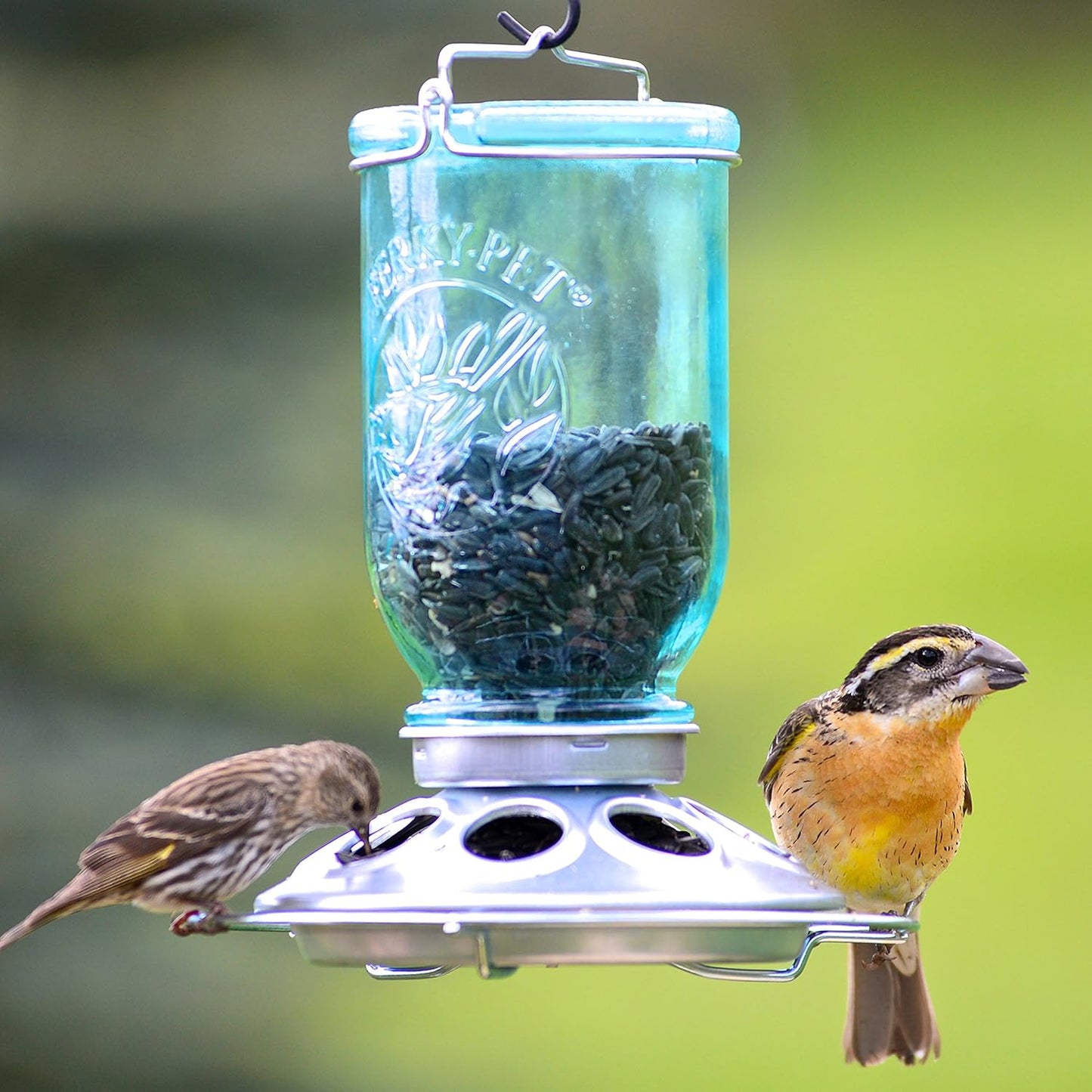 Handcrafted tinted-blue Mason jar bird feeder with metal base holding black oil sunflower seeds, attracting two small wild birds, ideal for Farm, Garden & Tool and Animal Care collections.