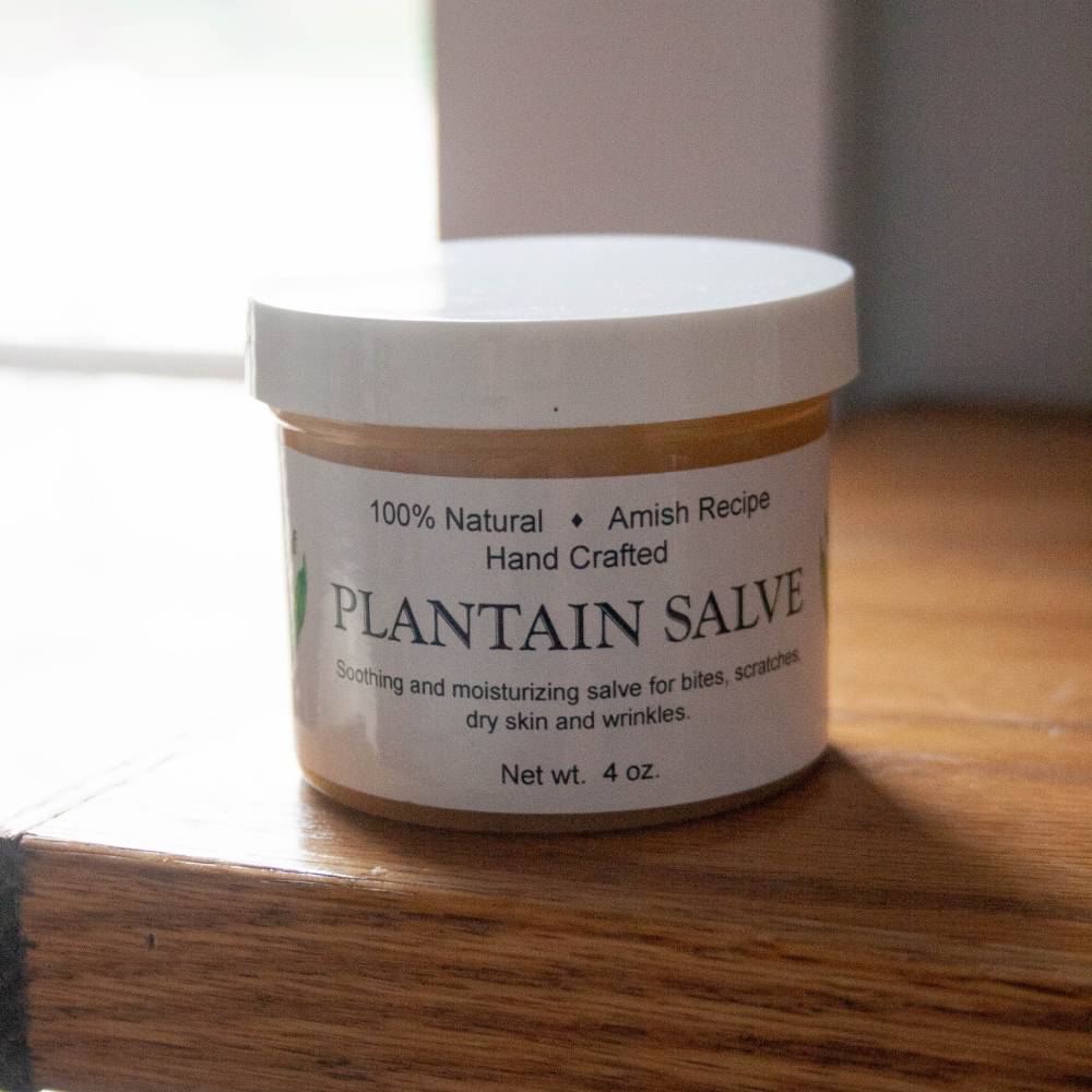 Handcrafted jar of all-natural plantain salve with Amish recipe, soothing and moisturizing for bites, scratches, dry skin, featured in Health & Wellness, USA Made, and Best Sellers collections.