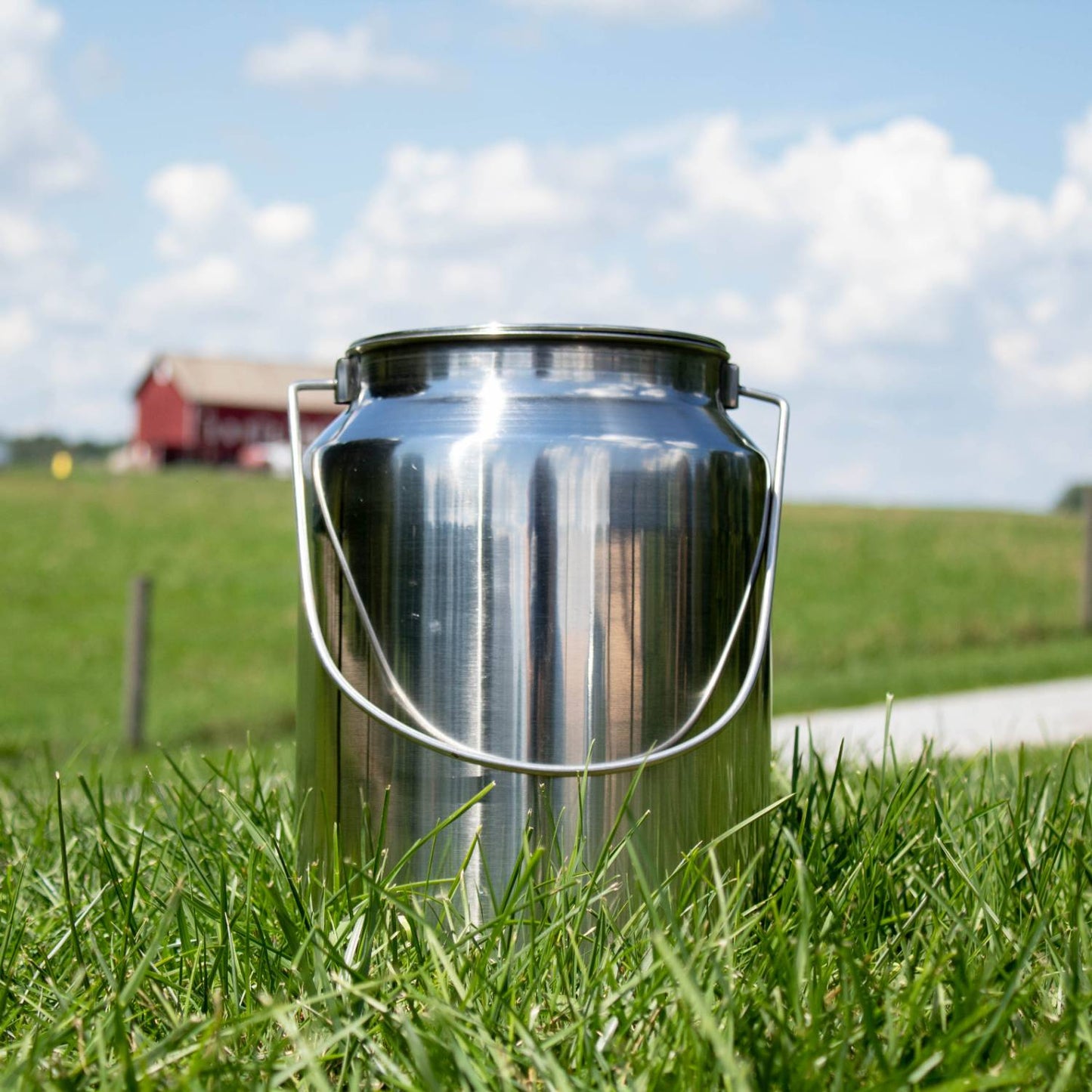 Polished 304 grade stainless steel milk can with secure lid and handle, seamless design for easy cleaning, shown outdoors on grass in farm and animal care setting.
