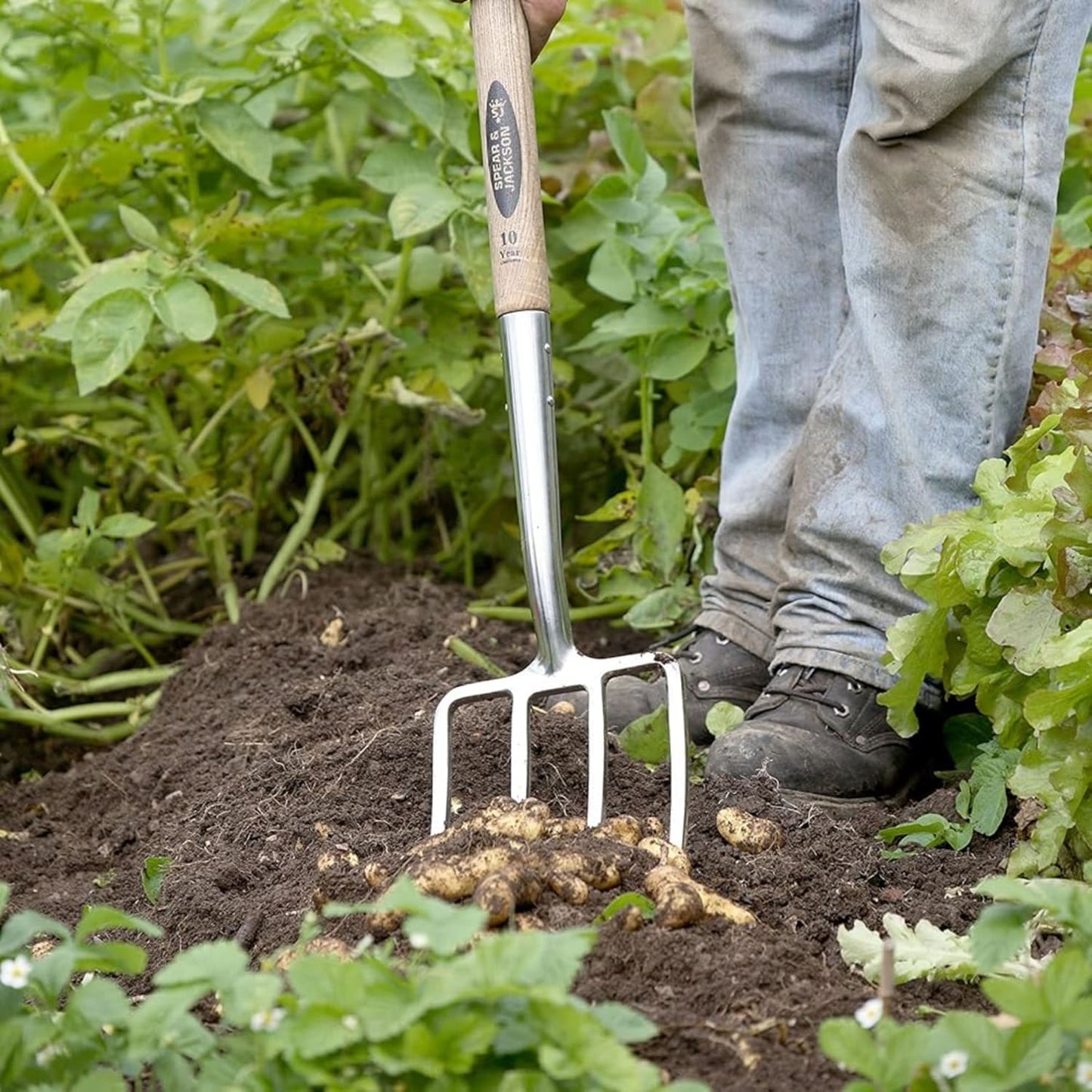 Traditional stainless digging fork with mirror-polished steel tines and weatherproof hardwood handle, used for heavy soil breaking in farm, garden, and lawncare tasks.