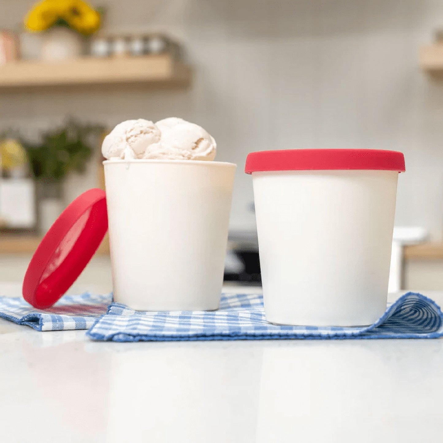 NutriMill 1-Quart Ice Cream Containers – 2-Pack