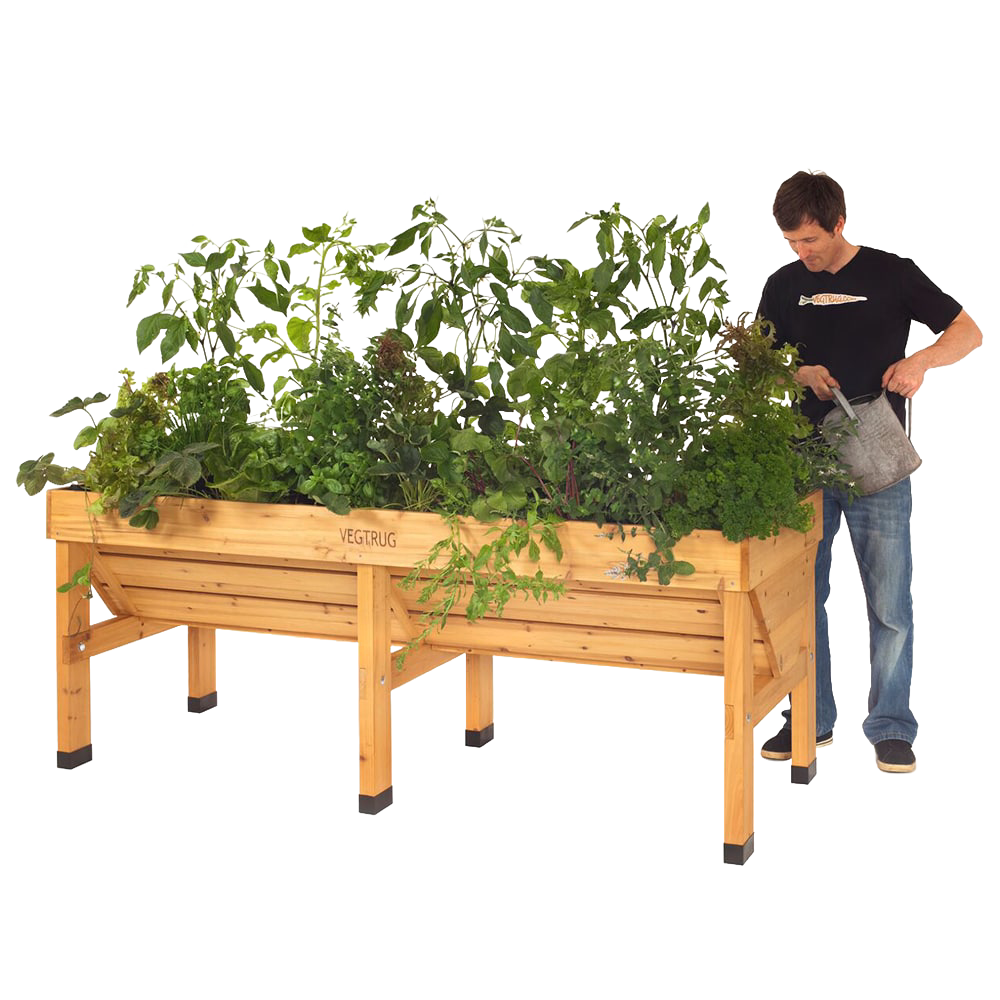 Man watering a handcrafted wooden elevated garden bed filled with lush vegetable plants, ideal for space-saving planting in Farm, Garden & Tool and Best Sellers collections.