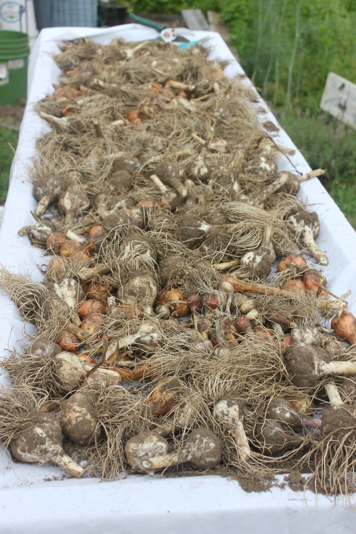 Manage Your Homestead's Food Supply Successfully