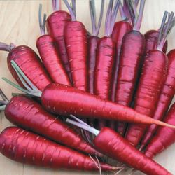 This Year's Garden Can Be The Seed For Gardens To Come