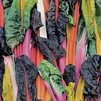 Easy Recipes Add Greens To Your Menus