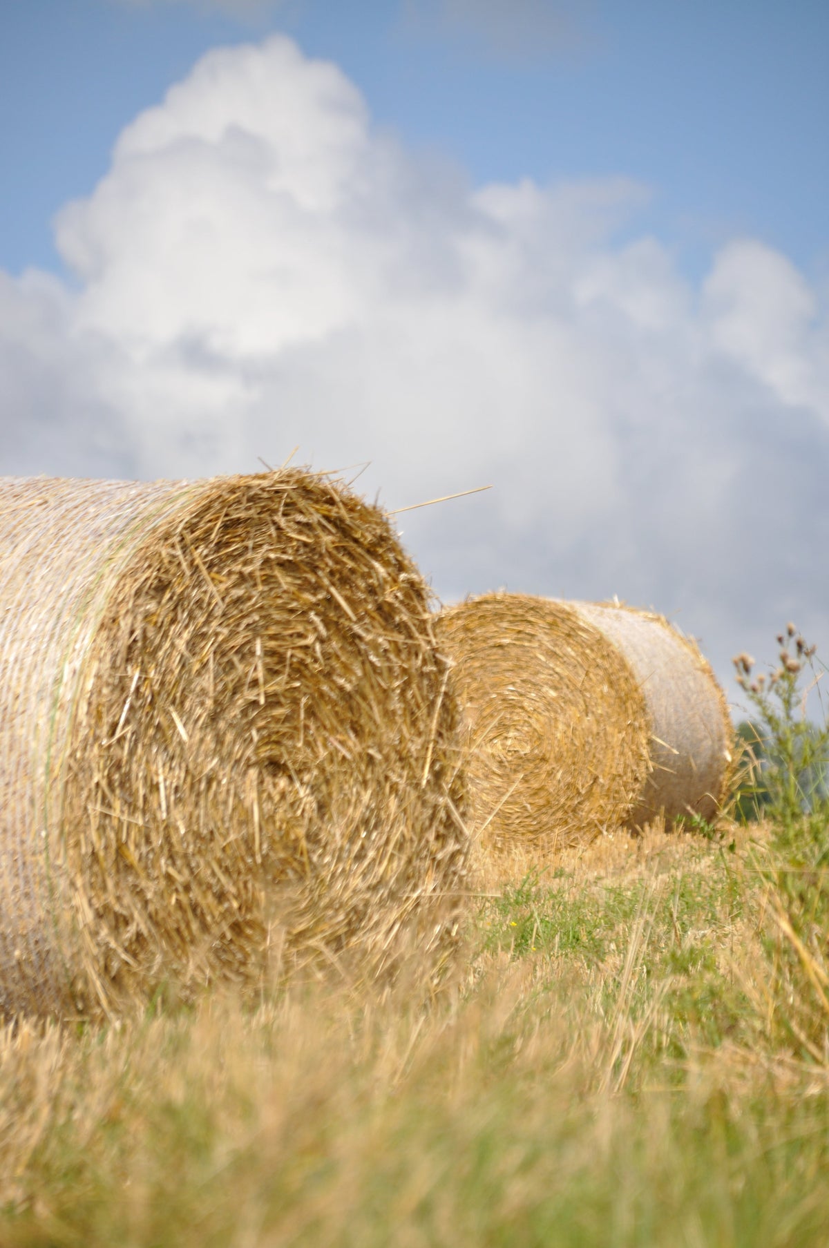 Making Hay While the Sun Shines [part 2]