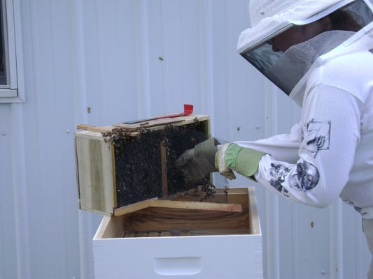 Lehman’s Beekeeper Gives You the Buzz on the 10 Best Beginner Products