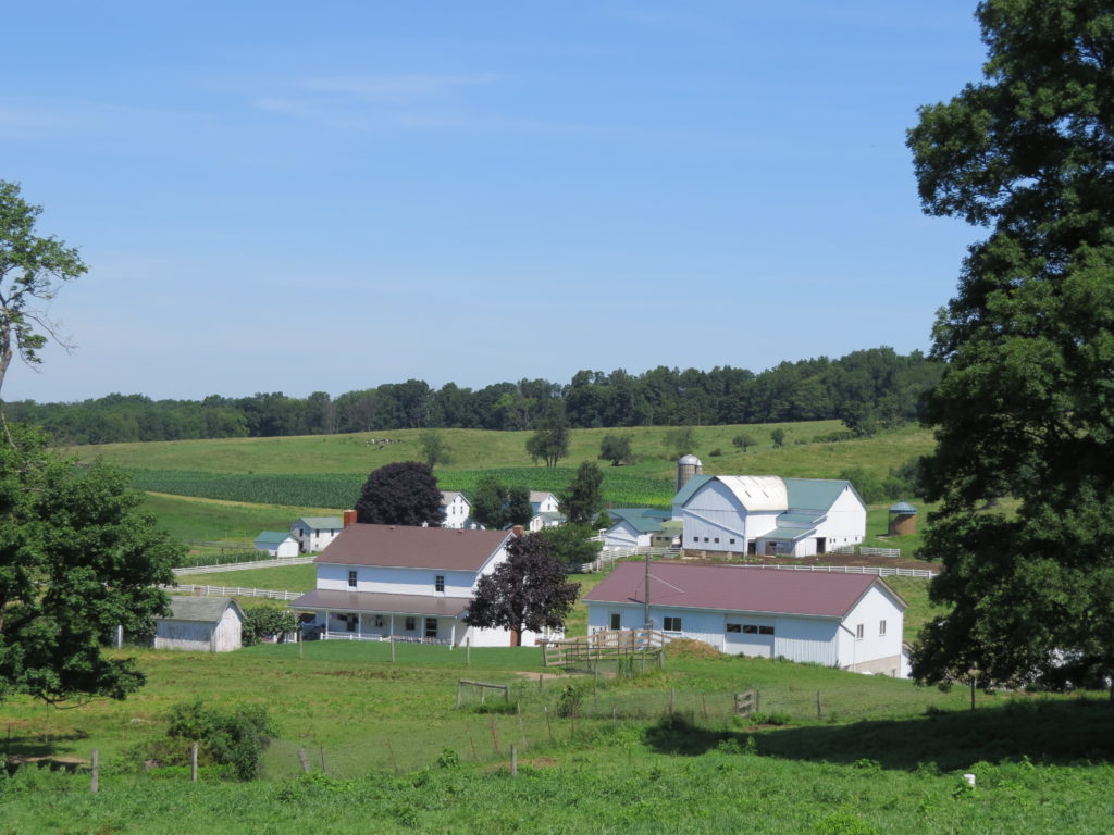Life Lessons from Amish Country