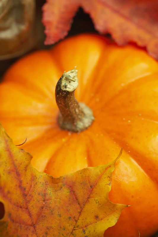 Pumpkin Perfection
