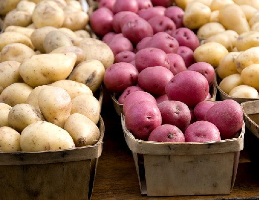 Tons of taters: Potato recipes