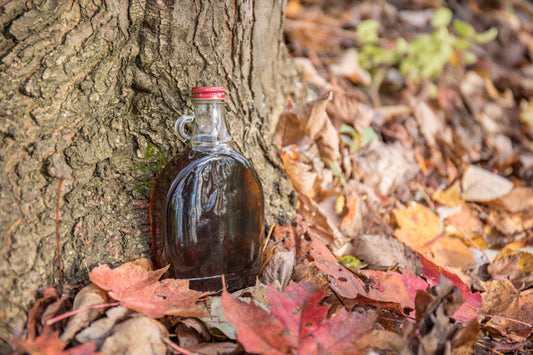 Sugarmaking Makes Thirst Take a Hike