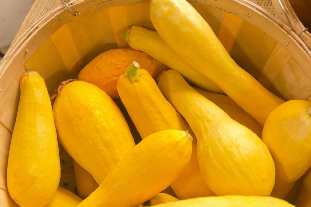Yellow Squash Pie