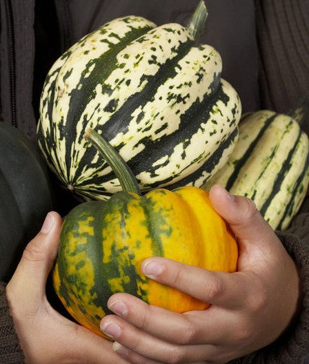 Relish the Harvest