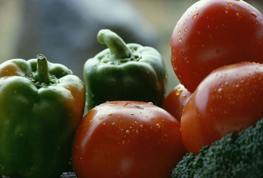 The Market Gardener's Journal