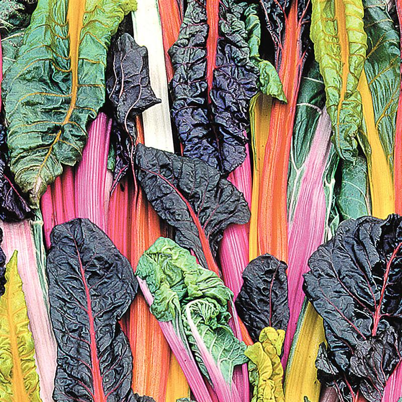Tips From A Market Gardener: How To Sell What You Grow