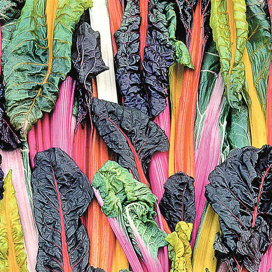 Tips From A Market Gardener: How To Sell What You Grow