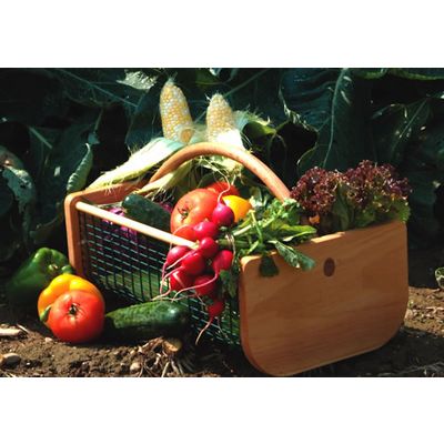Extra Garden Produce? Bank It and Make a Difference