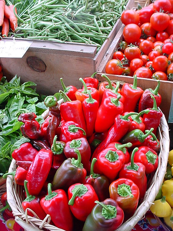 A New Season Begins for the Market Gardener