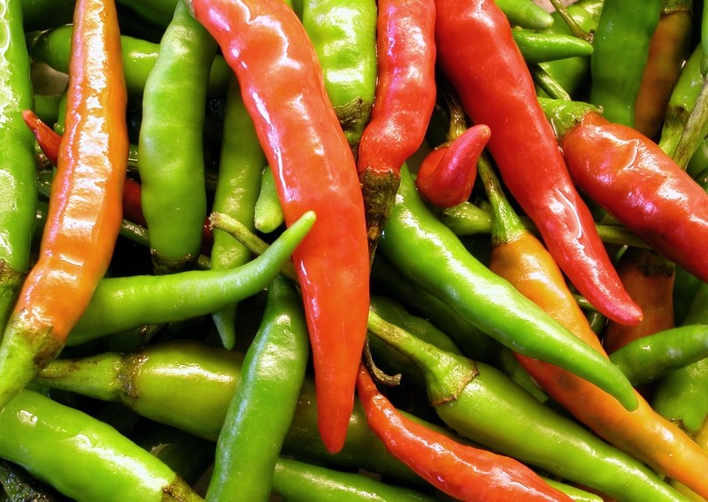 Capsicum Etiquette 101
