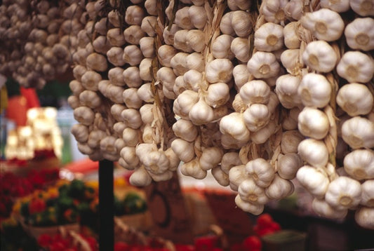 Local Harvests, Local Feasts