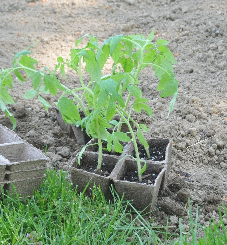 Here's what you're growing