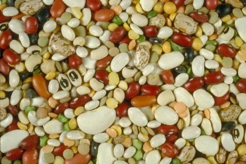 9 Delicious Dishes for National Bean Day