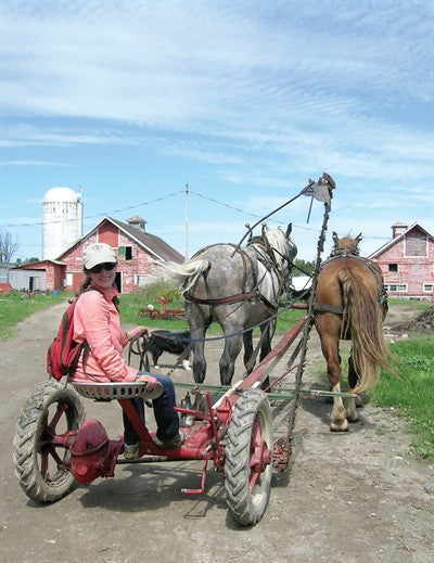 Horse Power Keeps Small Farm Humming