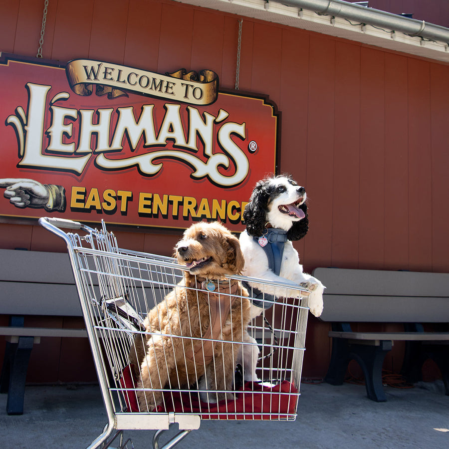 Meet the Pets of Lehman’s: A Behind-the-Scenes Look at Our Furry Family
