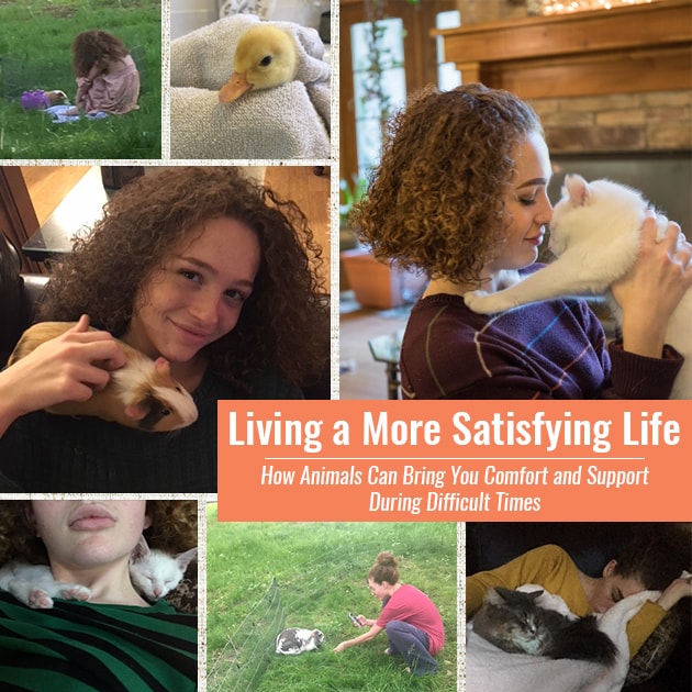 How Animals Can Bring You Comfort and Support During Difficult Times