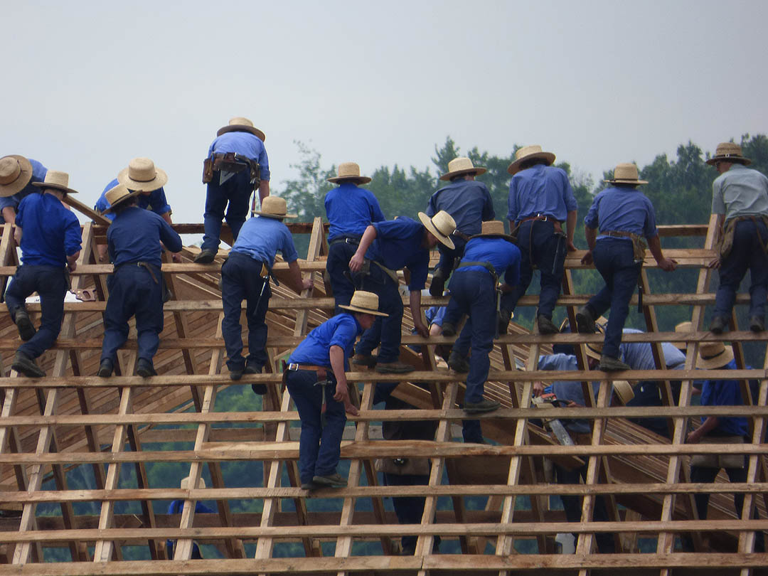 Amish Neighbors: Farming and Building in the Community