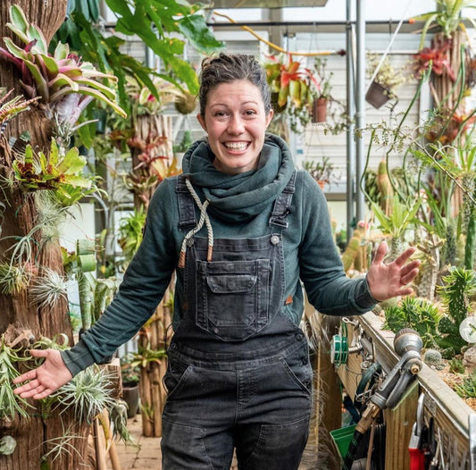 Meet Anne Of All Trades