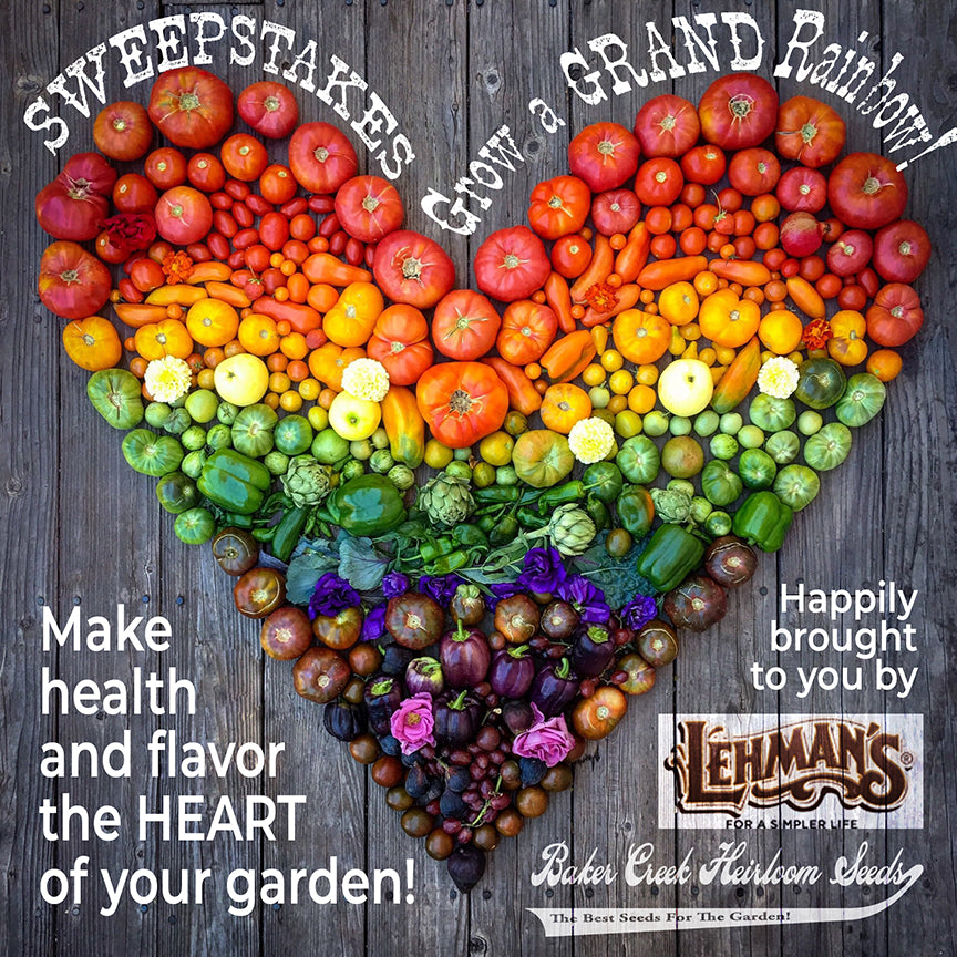 Exciting News! Here's Your Chance To Win A Rainbow Garden
