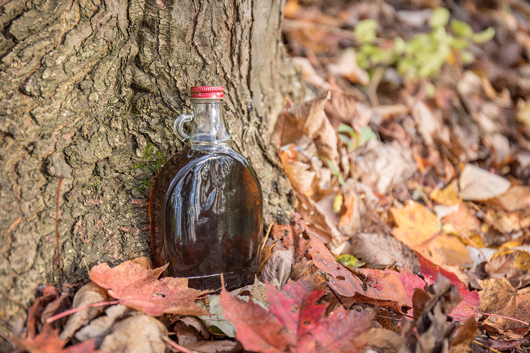Sugarmaking Makes Thirst Take a Hike