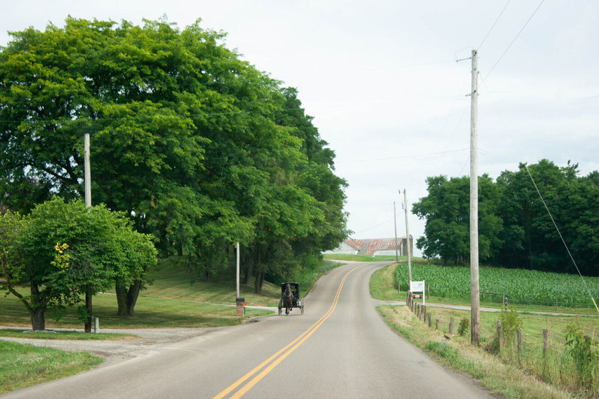 Amish Neighbors: Staying Organized During Spring's Work