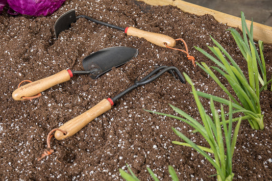 Dreaming of a Garden As It Snows...