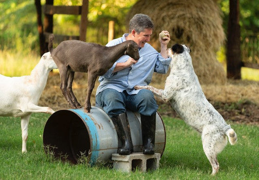 Meet Homesteader Cyndi Ball