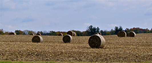 Uncle John and the Hay Wagon