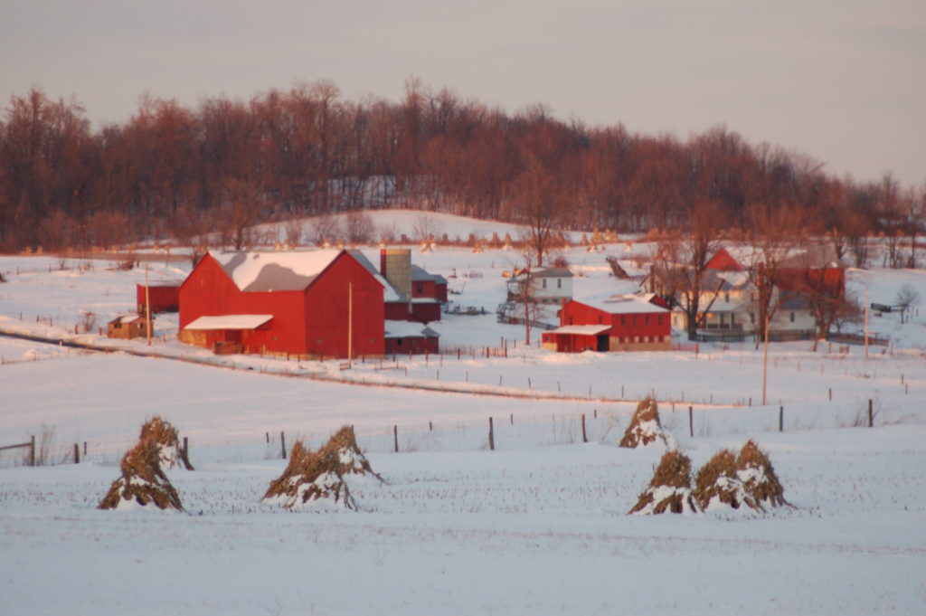 Christmas with The Plain Folk