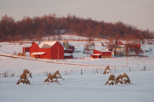 Christmas with The Plain Folk